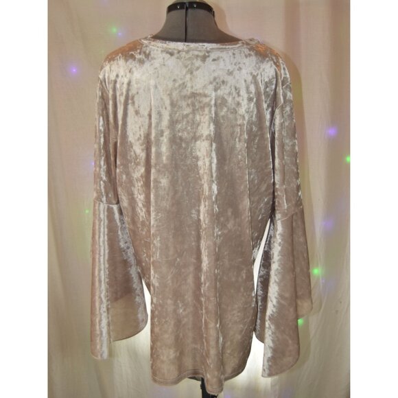 Pebble & Stone Shimmery Cream Stretch Velvet Top size 2X - Picture 3 of 4